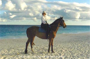 on horseback